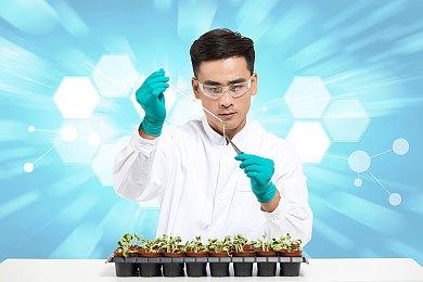 《荒野大镖客2》高清材质包优化大部分地形贴图效果